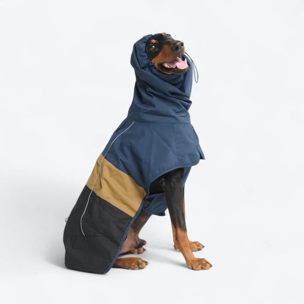 Dog Raincoats