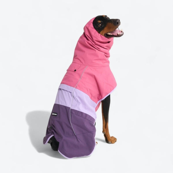 Dog Raincoats