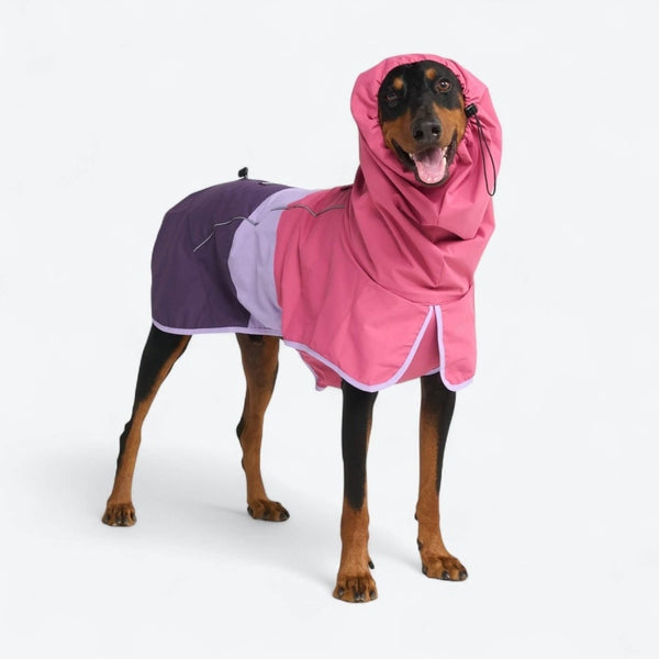 Dog Raincoats