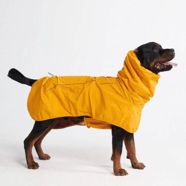 Dog Raincoats